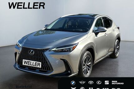 Lexus NX 350h Gebrauchtwagen
