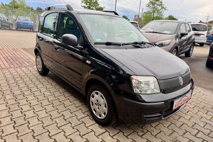 Fiat Panda Gebrauchtwagen