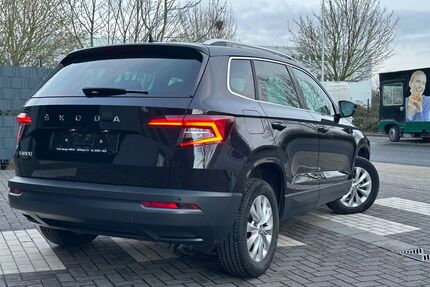 Skoda Karoq Gebrauchtwagen