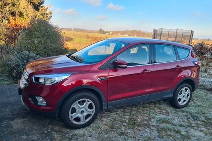 Ford Kuga Gebrauchtwagen