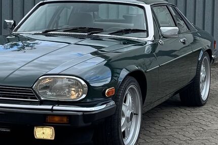 Jaguar XJS Gebrauchtwagen