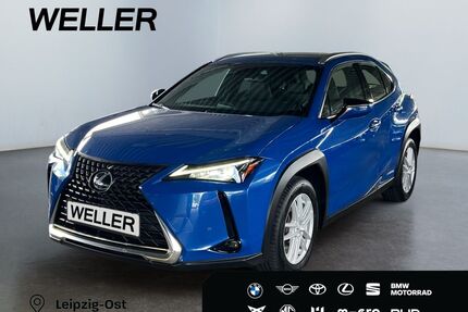 Lexus UX Gebrauchtwagen