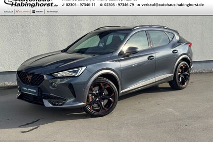 Cupra Formentor Gebrauchtwagen