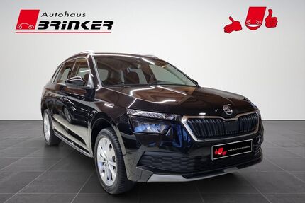 Skoda Kamiq Gebrauchtwagen