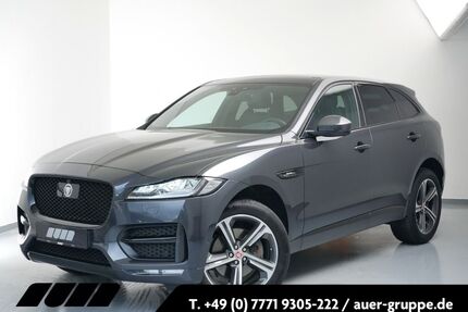 Jaguar F-Pace Gebrauchtwagen