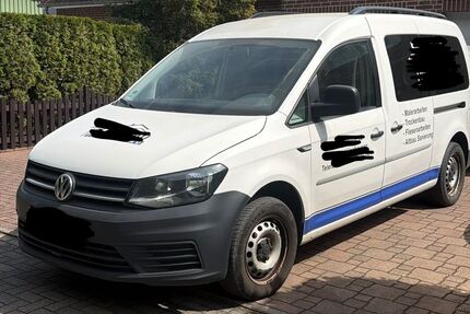 VW Caddy Gebrauchtwagen