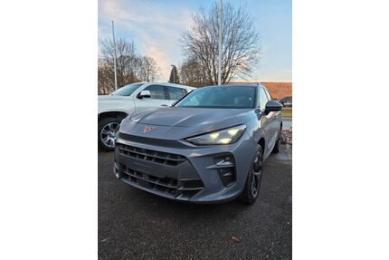 Cupra Terramar Gebrauchtwagen