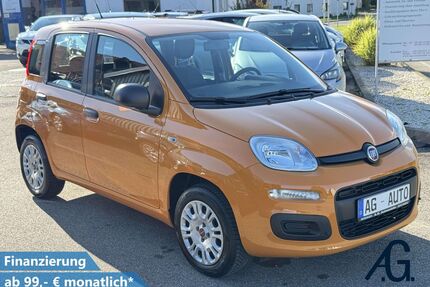 Fiat Panda Gebrauchtwagen