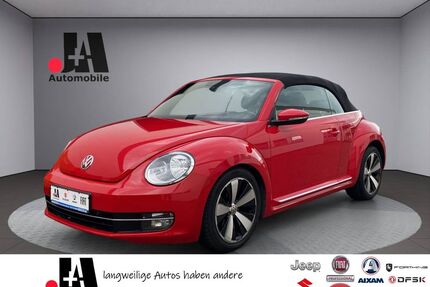 VW Beetle Gebrauchtwagen