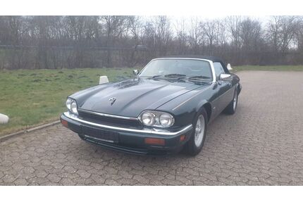 Jaguar XJS Gebrauchtwagen