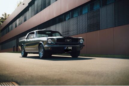 Ford Mustang Gebrauchtwagen