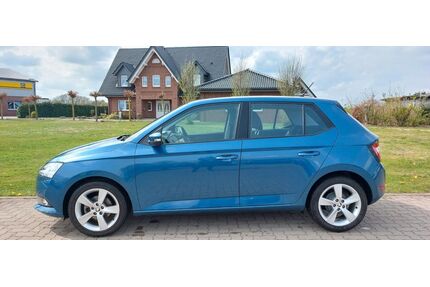Skoda Fabia Gebrauchtwagen