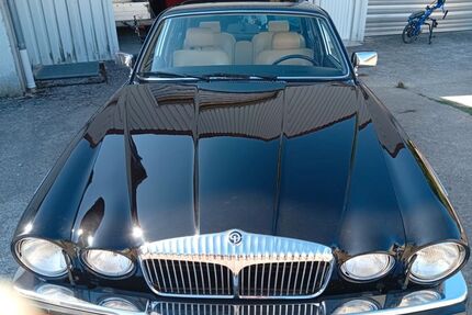 Jaguar Daimler Gebrauchtwagen