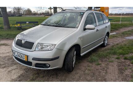 Skoda Fabia Gebrauchtwagen