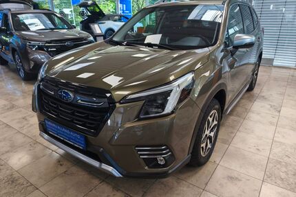 Subaru Forester Gebrauchtwagen