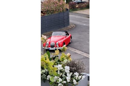 Jaguar XK Gebrauchtwagen