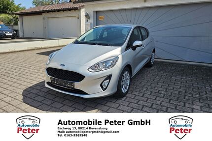 Ford Fiesta Gebrauchtwagen