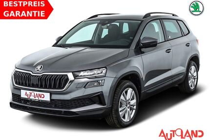Skoda Karoq Gebrauchtwagen