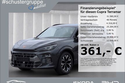 Cupra Terramar Gebrauchtwagen