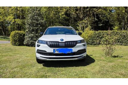 Skoda Karoq Gebrauchtwagen