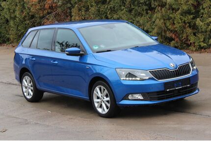 Skoda Fabia Gebrauchtwagen
