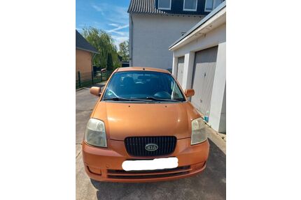 Kia Picanto Gebrauchtwagen