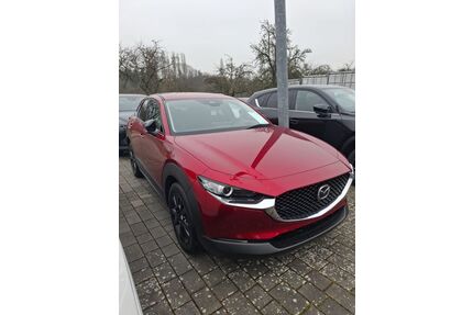 Mazda CX-30 Gebrauchtwagen