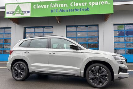 Skoda Karoq Gebrauchtwagen