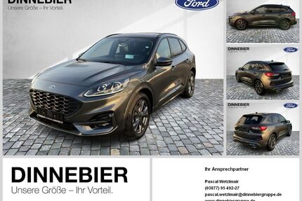 Ford Kuga Gebrauchtwagen