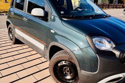 Fiat Panda Gebrauchtwagen
