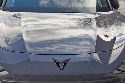 Cupra Terramar Gebrauchtwagen