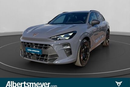 Cupra Terramar Gebrauchtwagen