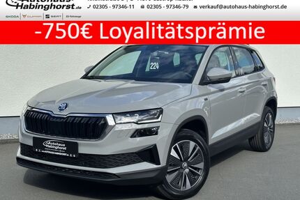 Skoda Karoq Gebrauchtwagen