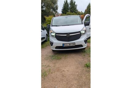 Opel Vivaro Gebrauchtwagen