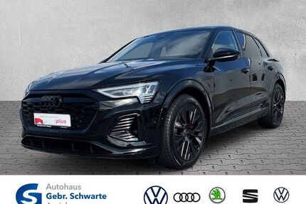 Audi Q8 e-tron Gebrauchtwagen