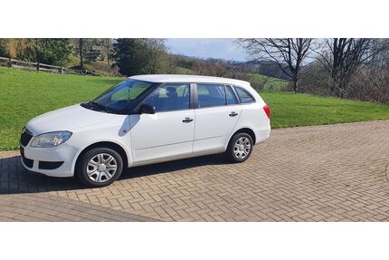 Skoda Fabia Gebrauchtwagen