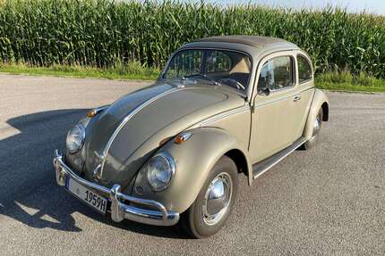 VW Käfer Gebrauchtwagen