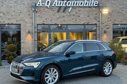 Audi e-tron Gebrauchtwagen
