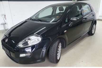 Fiat Punto Gebrauchtwagen