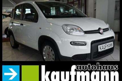 Fiat Panda Gebrauchtwagen