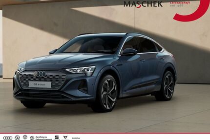 Audi Q8 e-tron Gebrauchtwagen