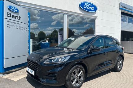 Ford Kuga Gebrauchtwagen