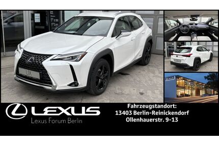 Lexus UX Gebrauchtwagen