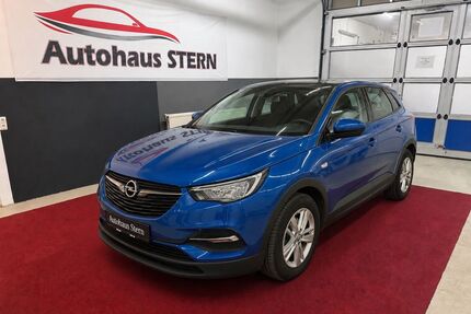 Opel Grandland (X) Gebrauchtwagen