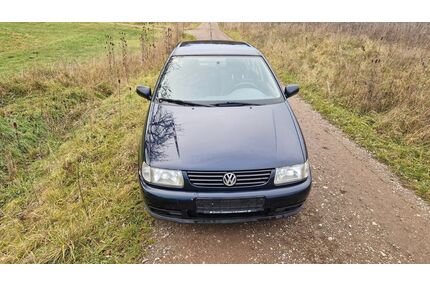 VW Polo Gebrauchtwagen