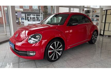 VW Beetle Gebrauchtwagen