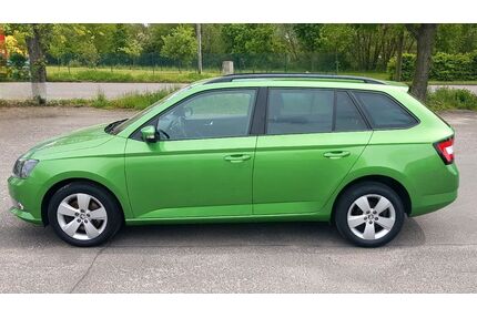 Skoda Fabia Gebrauchtwagen