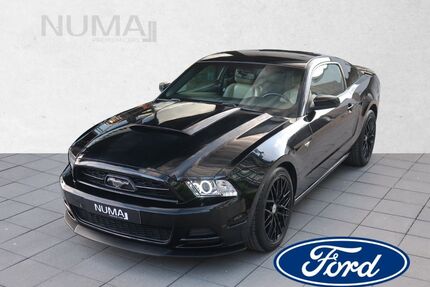 Ford Mustang Gebrauchtwagen