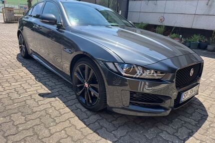 Jaguar XE Gebrauchtwagen