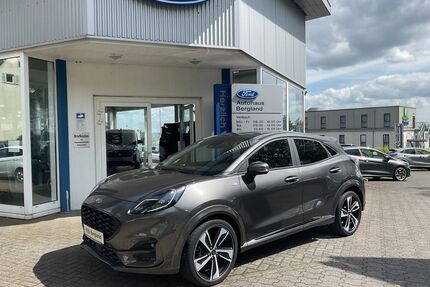Ford Puma Gebrauchtwagen
